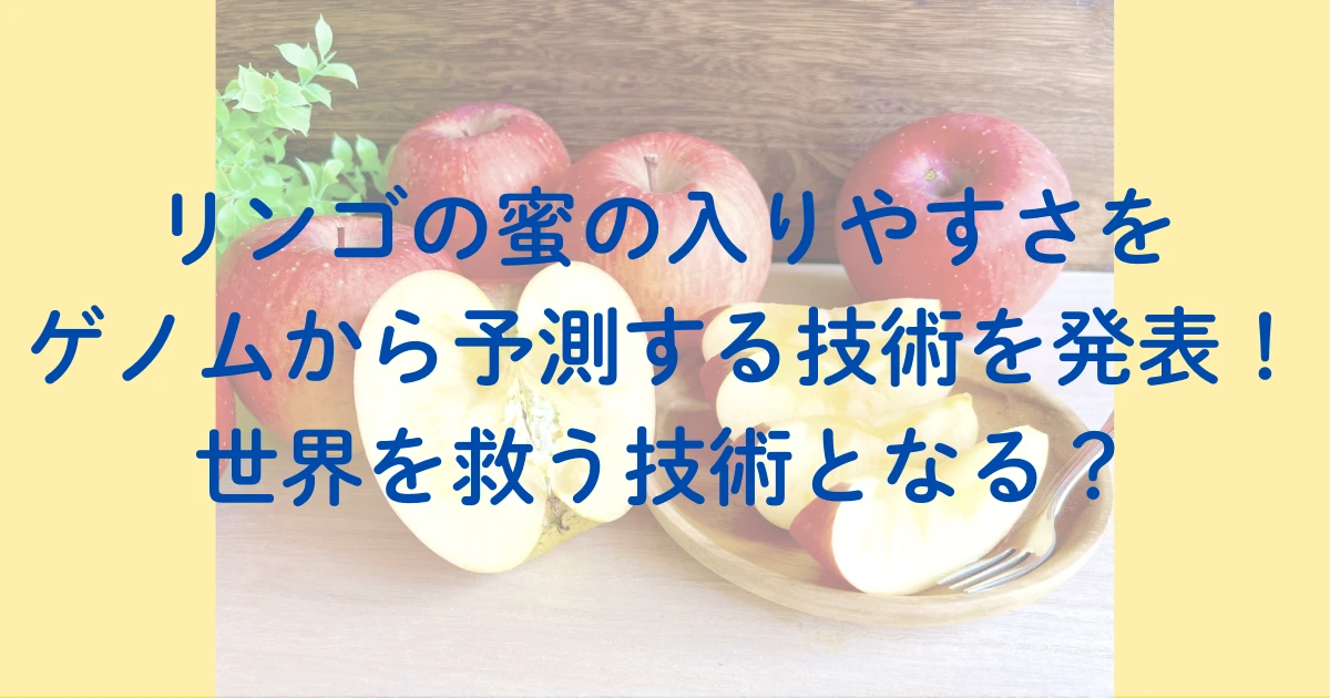 リンゴの蜜の入りやすさをゲノムから予測する技術を発表！世界を救う技術となる？